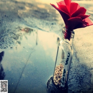 某人生日快乐