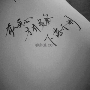 太忙了，忙的让我无暇顾及维护网站····