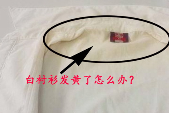 (图1) (图1)