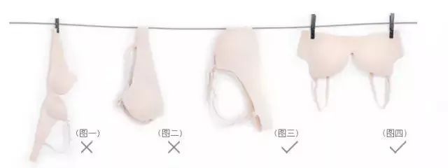 (图5) (图5)