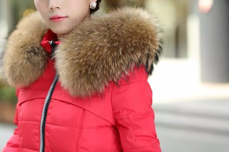 (图8) (图8)