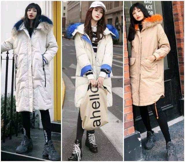 (图9) (图9)