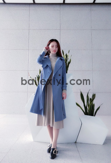 (图6) (图6)