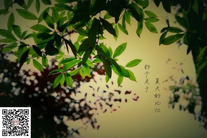 (图2)