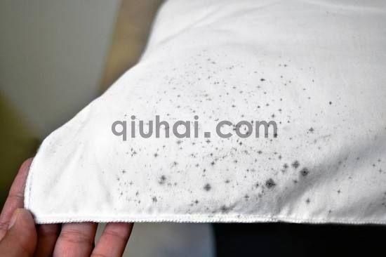 衣服晒干后沾满卫生纸屑,只要1块“刷碗布”,马上恢复“干净”(图7) (图7)