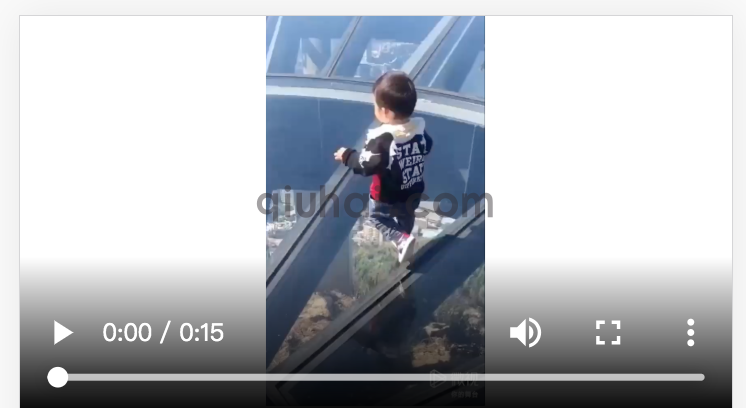 h5自带的 video标签禁止下载按钮教程(图3) (图3)