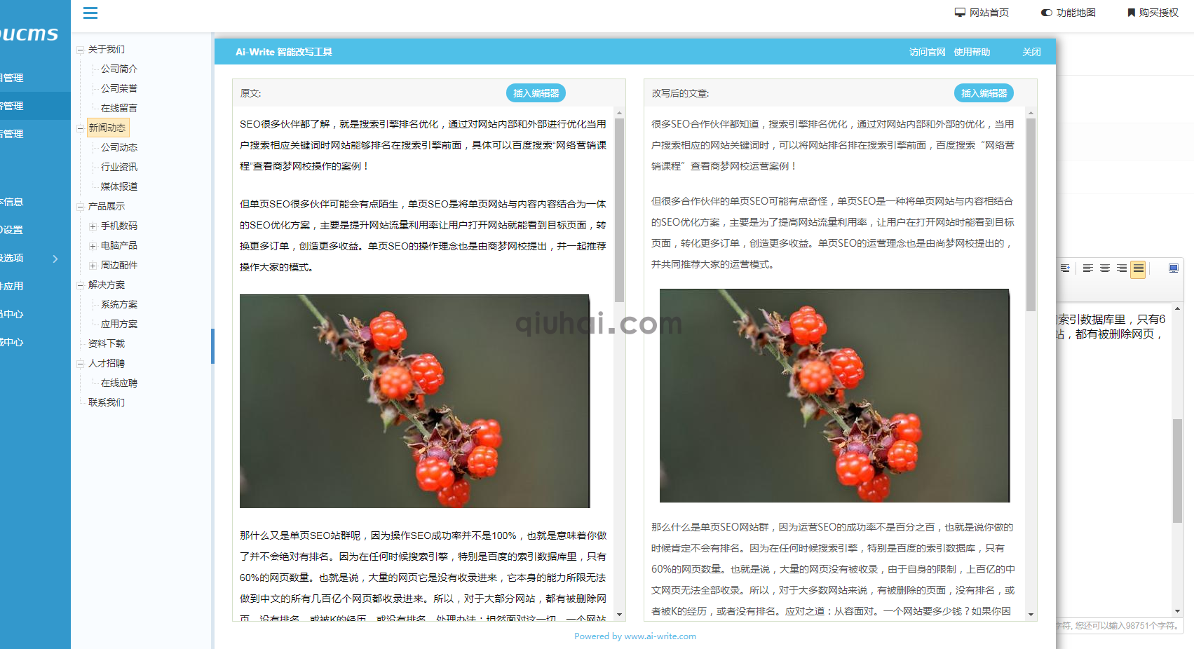 易优ai-write智能改写插件【eyoucms工具】(图1) 易优ai-write智能改写插件【eyoucms工具】(图1)