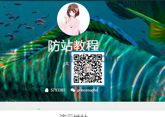 (图1)