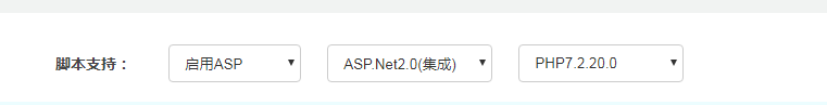 windows服务器护卫神安装易优教程(图30) (图30)