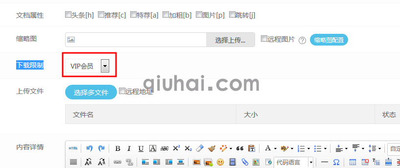 Eyoucms如何设置VIP模式下载(图5) 如何设置VIP模式下载(图5)