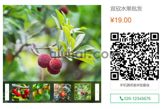 易优显示当前页面二维码插件【eyoucms工具】(图2) 易优显示当前页面二维码插件【eyoucms工具】(图2)